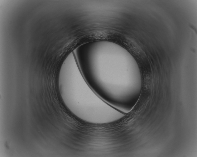 X0000098010697200803280731