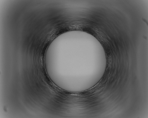X0000098010699200803280731