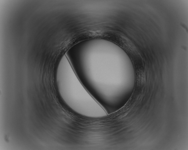X0000098010700200803280731