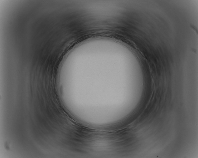 X0000098010701200803280731