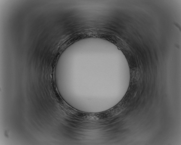 X0000098010702200803280731