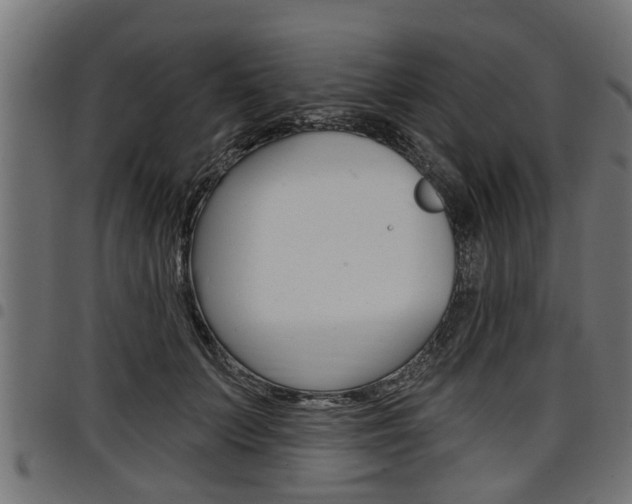 X0000098010703200803280731
