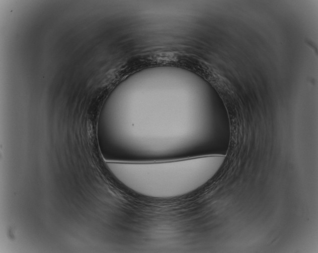 X0000098010704200803280731