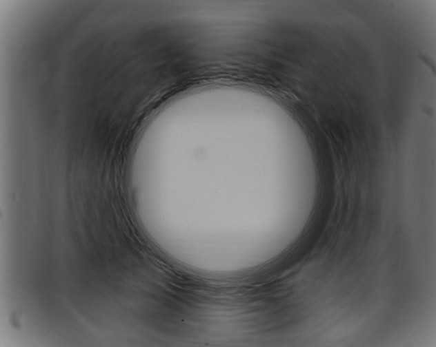 X0000098010705200803280731