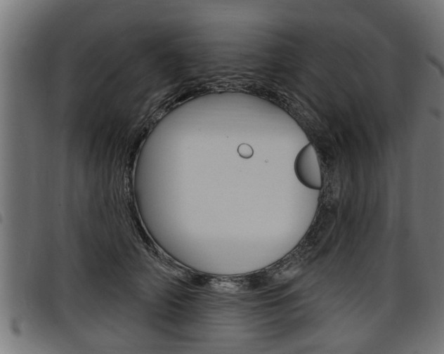 X0000098010706200803280731