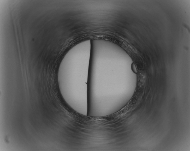 X0000098010707200803280731