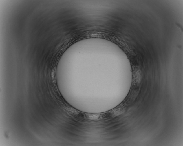 X0000098010709200803280731
