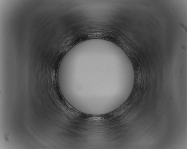 X0000098010711200803280730