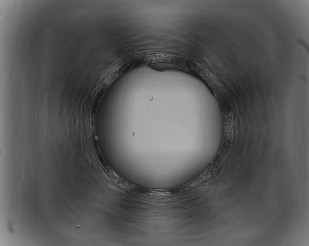 X0000098010716200803280730