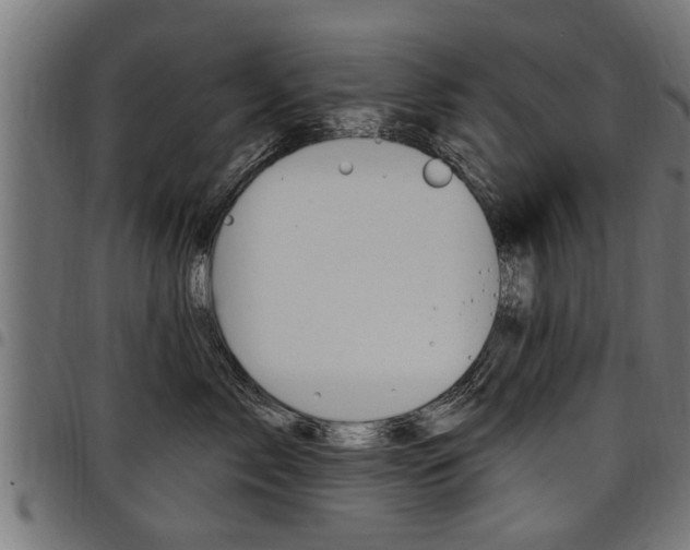 X0000098010717200803280730
