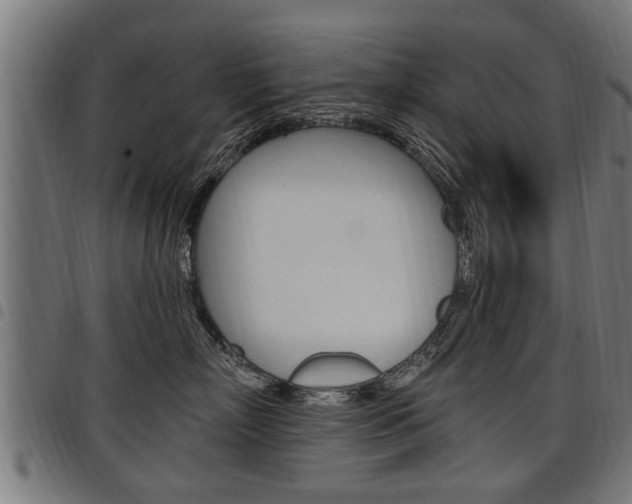 X0000098010718200803280730