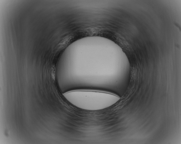X0000098010719200803280730