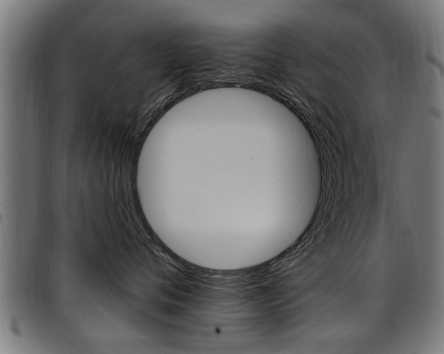 X0000098010720200803280730