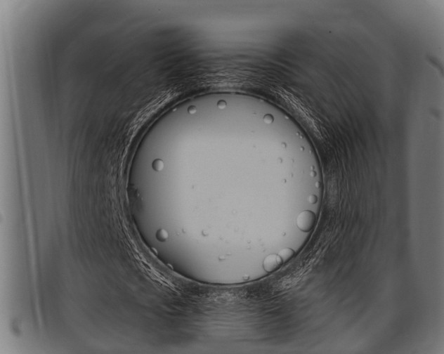 X0000098010721200803280730