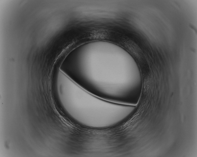 X0000098010722200803280730