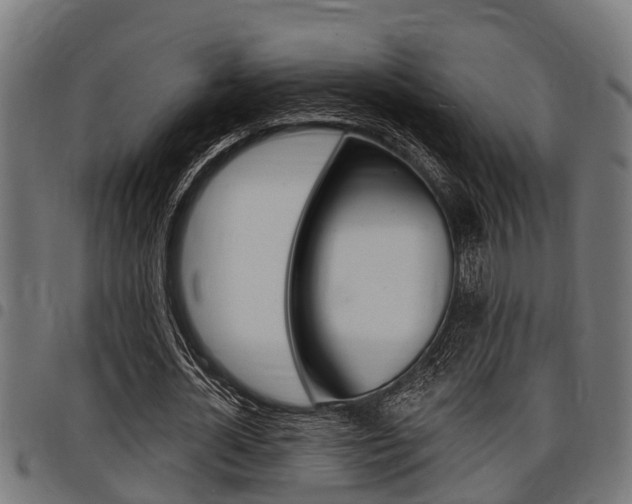 X0000098010724200803280730