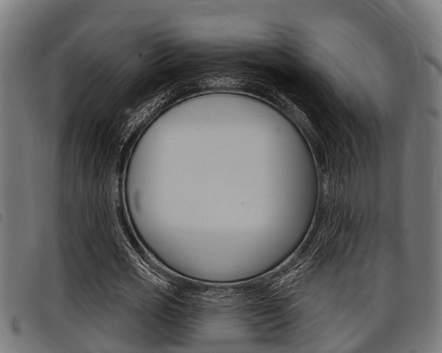 X0000098010725200803280730