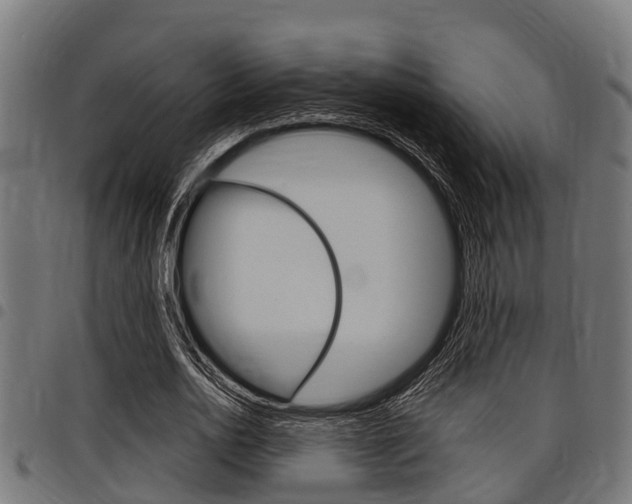X0000098010726200803280730