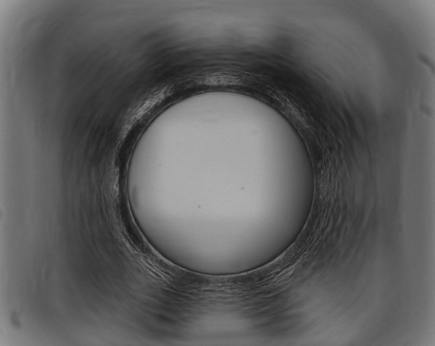 X0000098010727200803280730