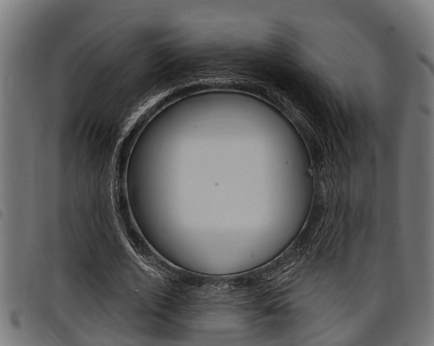 X0000098010728200803280730