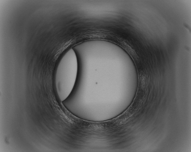 X0000098010729200803280730