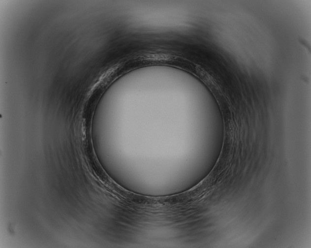 X0000098010731200803280730