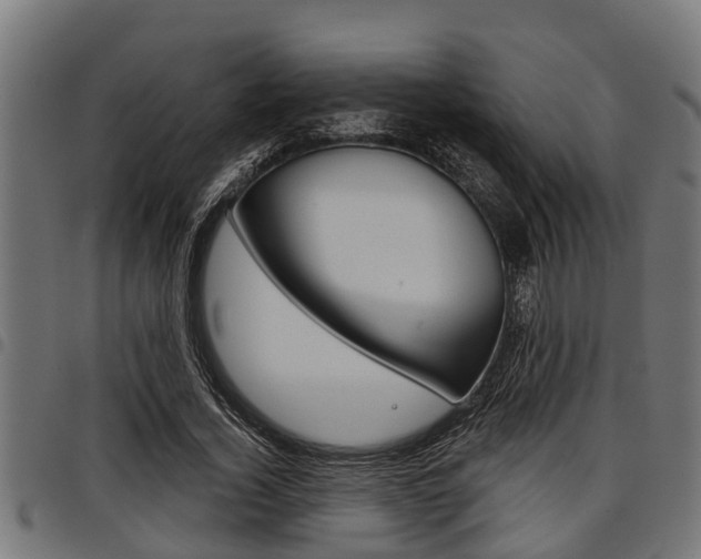 X0000098010732200803280730