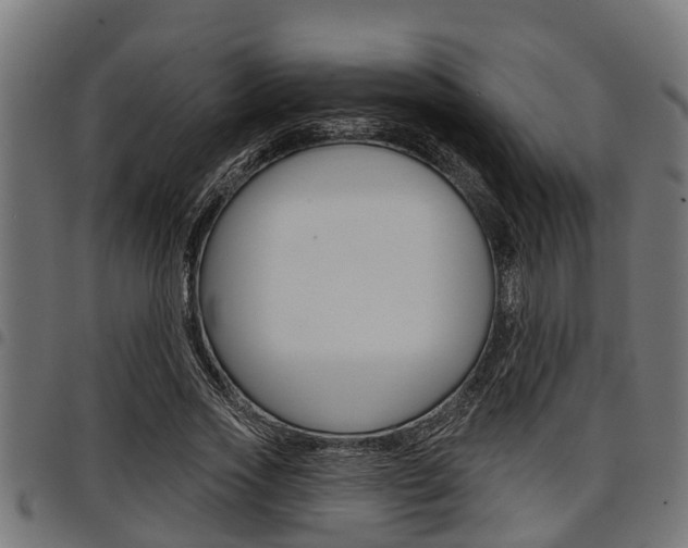 X0000098010733200803280730