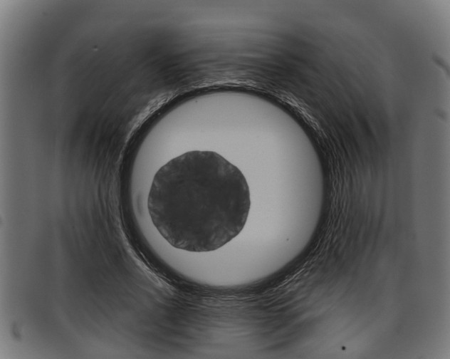 X0000098010734200803280730