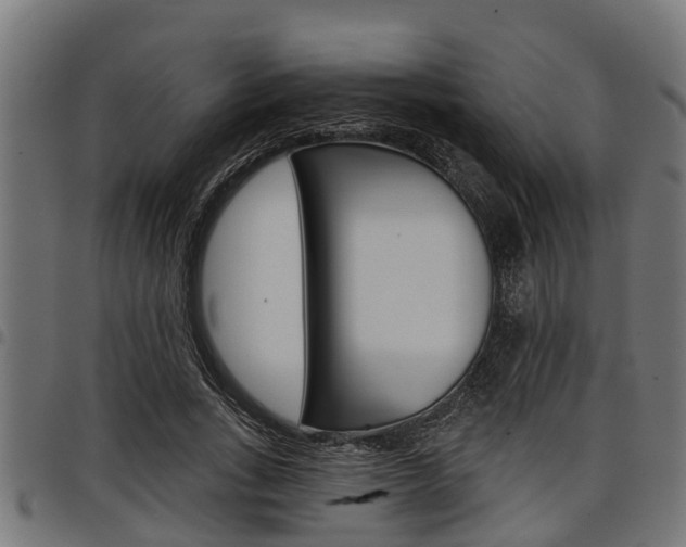 X0000098010735200803280730