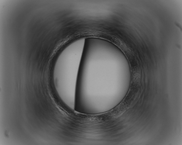 X0000098010736200803280730