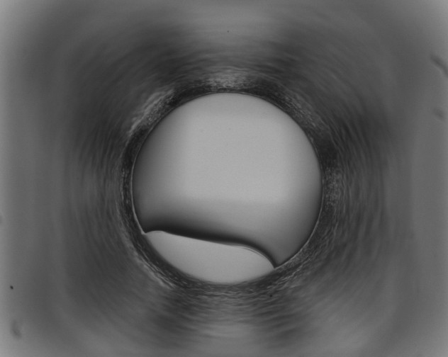 X0000098010738200803280730