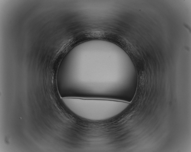 X0000098010739200803280730