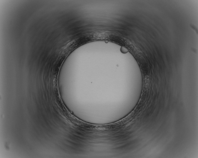 X0000098010741200803280730