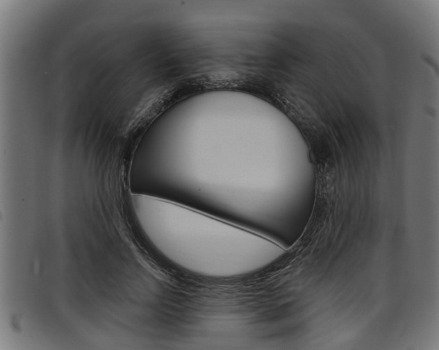 X0000098010742200803280730