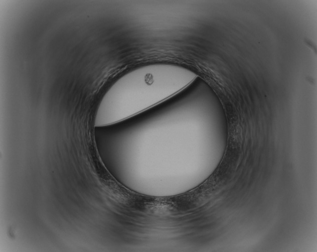 X0000098010743200803280730