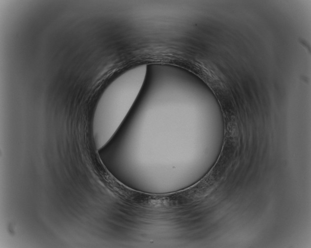 X0000098010744200803280730