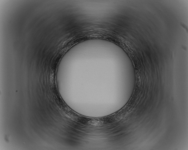 X0000098010745200803280730