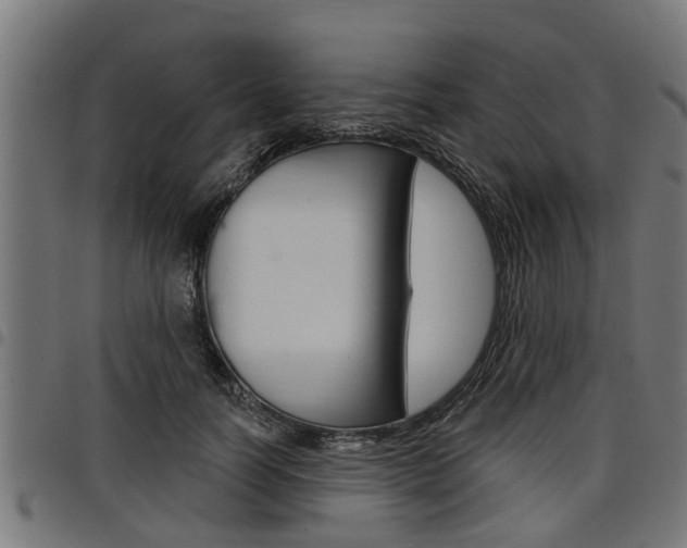 X0000098010746200803280730