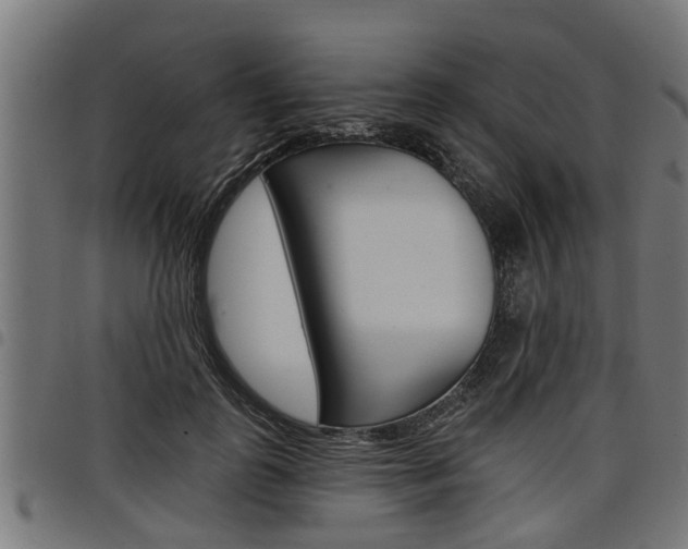X0000098010747200803280730