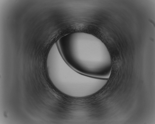 X0000098010750200803280730