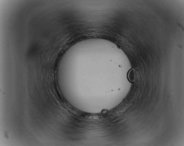 X0000098010751200803280730