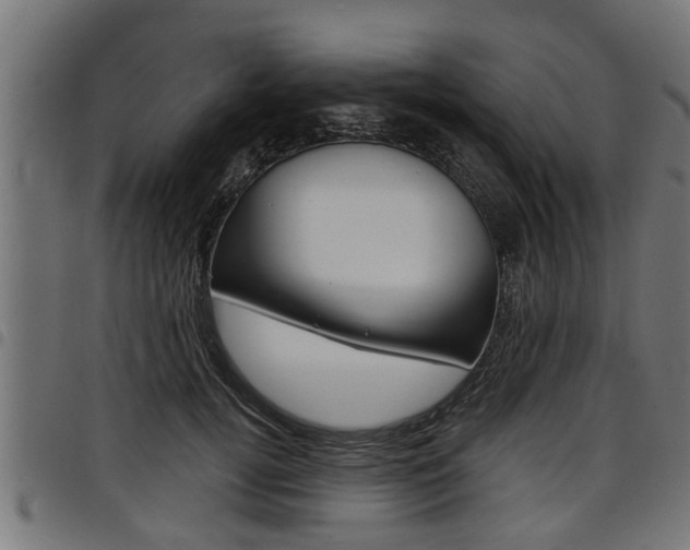 X0000098010752200803280730