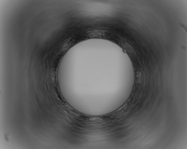 X0000098010753200803280730