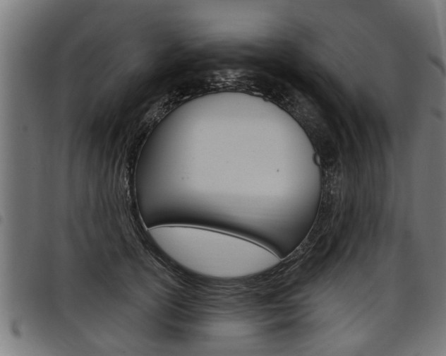 X0000098010754200803280730