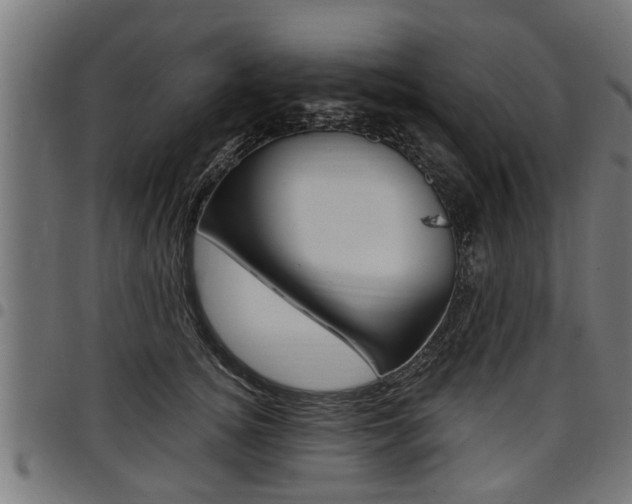 X0000098010756200803280730