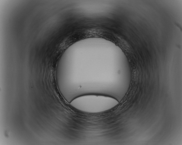 X0000098010757200803280730