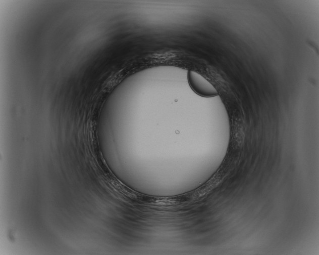 X0000098010758200803280730