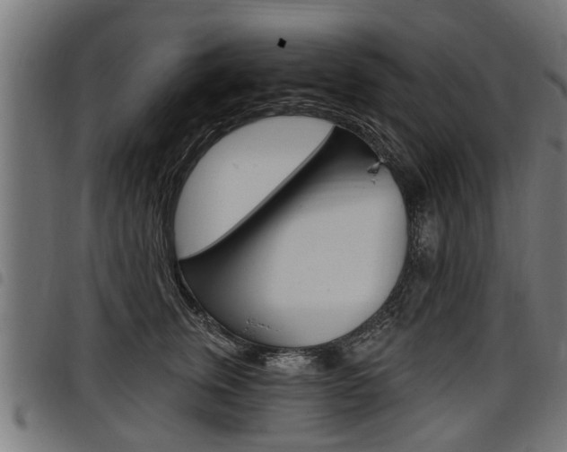 X0000098010759200803280730