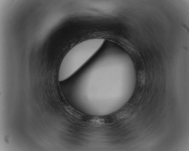 X0000098010760200803280730